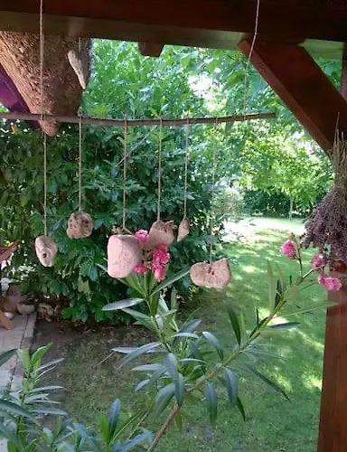 Nadtetos Haz Gyenesdiason A Vizpart Koezeleben Prázdninový dům